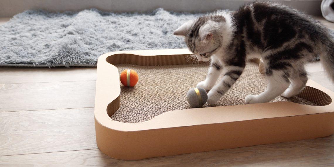 Cheerble Board Game — настольная игра для кошек