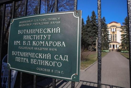 В Ботсаде Петербурга планируют усилить защиту от нашествия полуголых девушек
